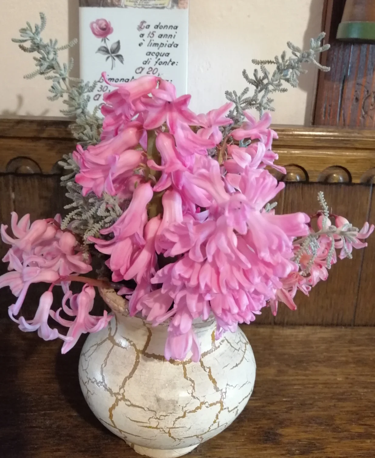 Mirisni zumbul sa mirisnim srebrenolisnim grančicama santoline nosi dah proljeća/