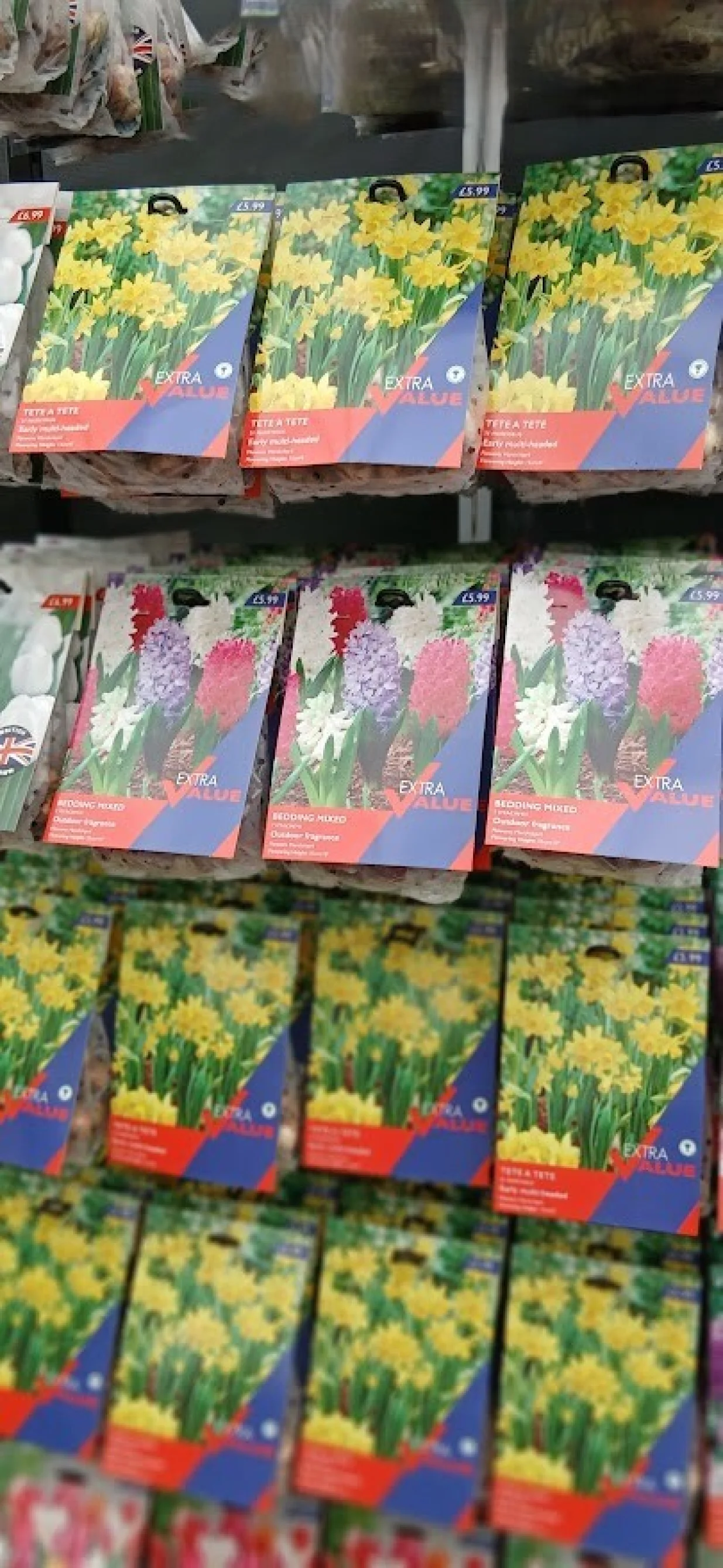 Pakovane lukovice u prodaji u vrtnim centrima/