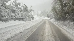 rogoj, obustavljen saobraćaj zbog snijega/Teretnjaci.ba/Facebook