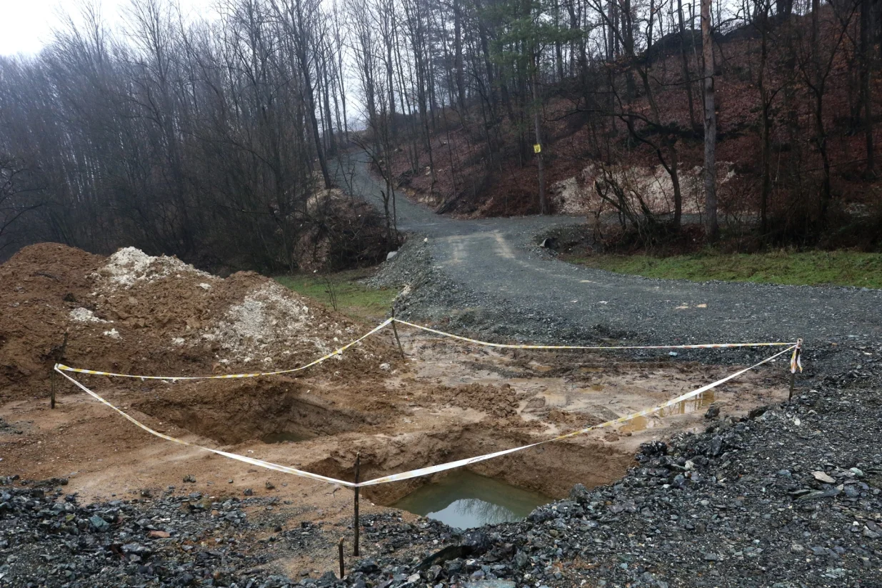 Ozren rude Petrovo/Didier Torche