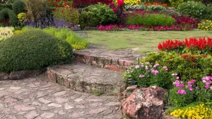 Preživljavaju sve uslove/Free Pik