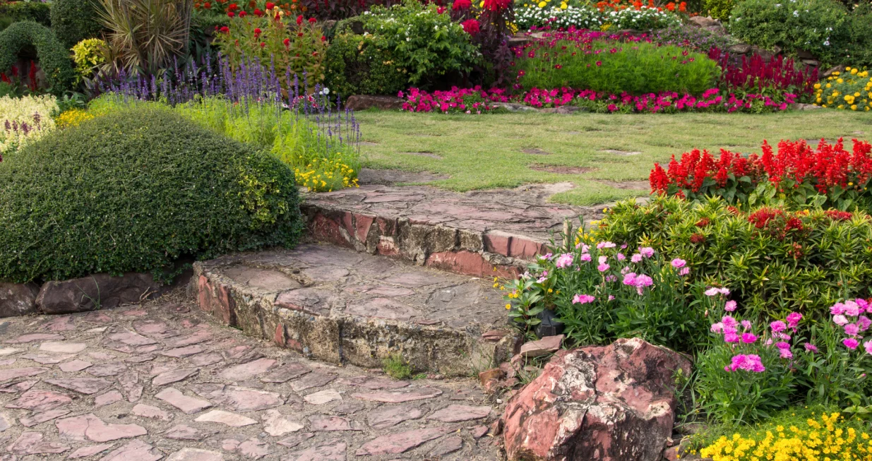 Preživljavaju sve uslove/Free Pik