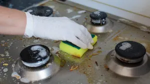 Rješava ih za čas posla/Free Pik