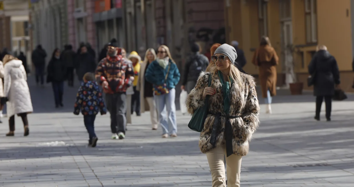 sunčano jutro sunce i ledenice/Senad Gubelić
