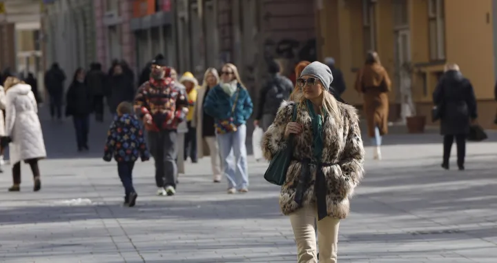 sunčano jutro sunce i ledenice/Senad Gubelić