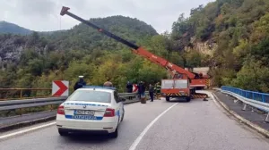 Započeta pretraga/Srna//