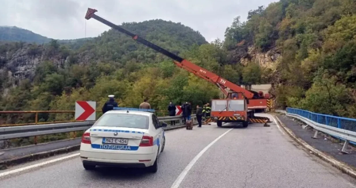 Započeta pretraga/Srna//