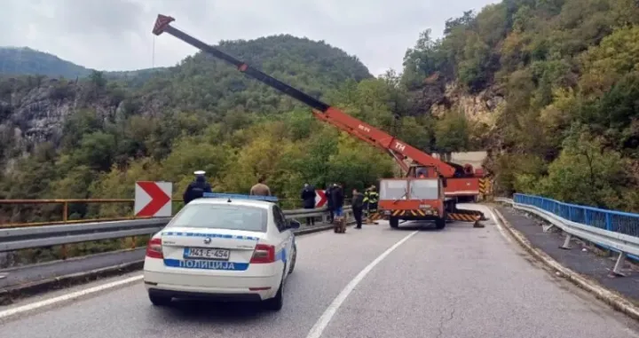 Započeta pretraga/Srna//