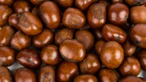 Stariji ljudi vjeruju da pomaže/Free Pik