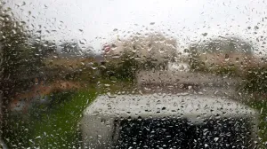 Kiša kroz prozor ilustracija/Damir Deljo