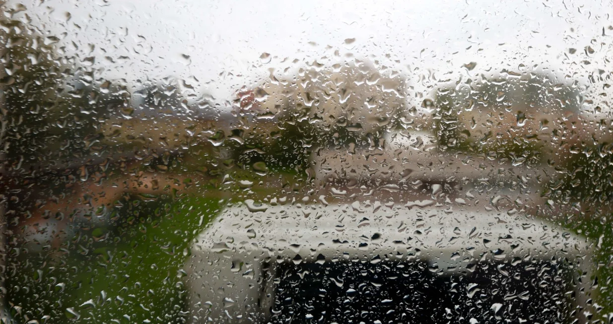 Kiša kroz prozor ilustracija/Damir Deljo