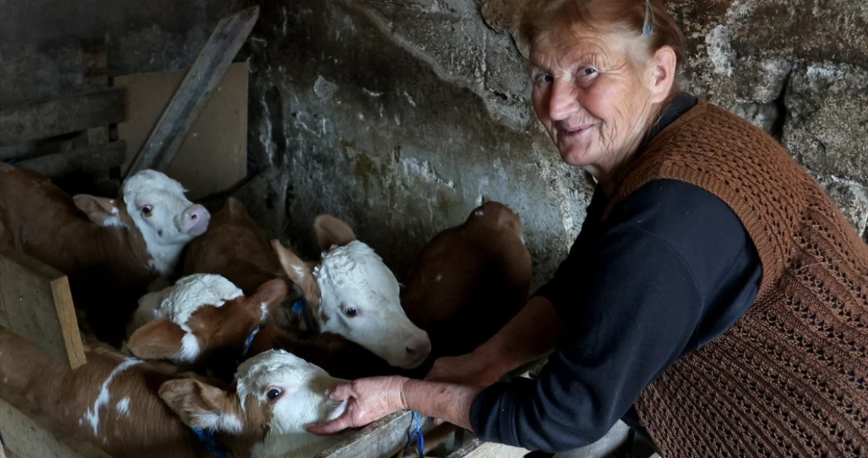 Velika radost/Anadolija/