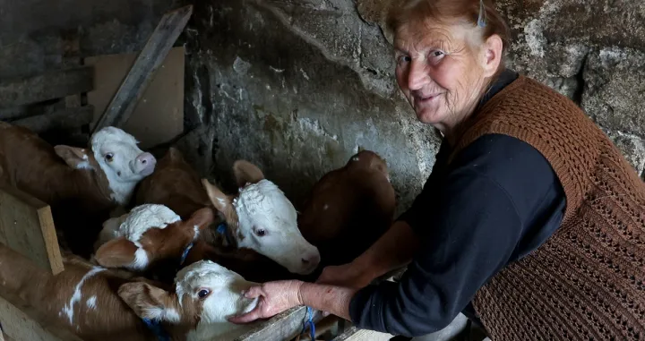 Velika radost/Anadolija/