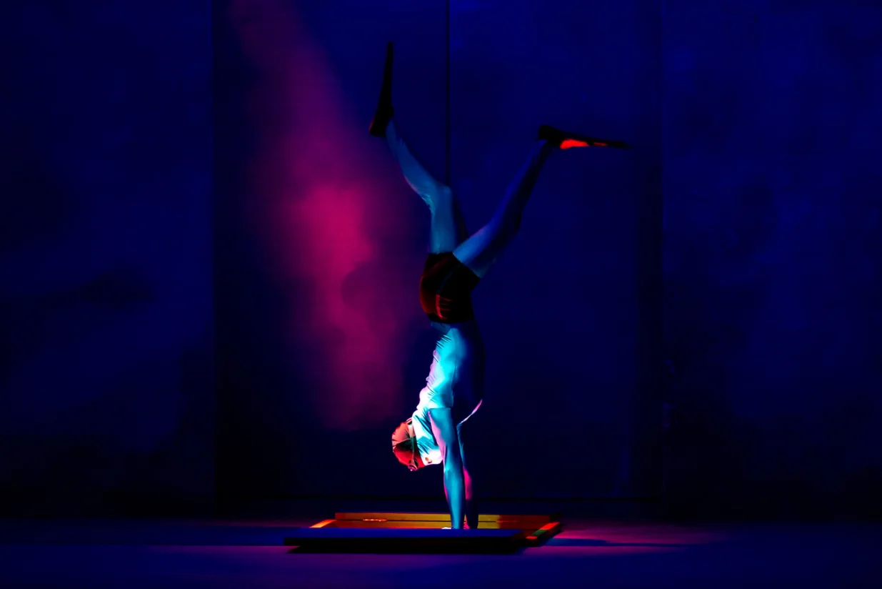 Predstava "Thauma"/Velija Hasanbegović/Velija_hasanbegovic