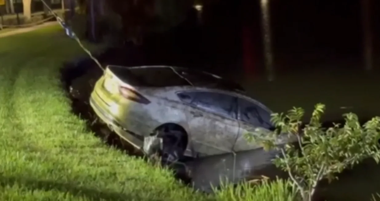 Steven MacKrell/Screenshot X