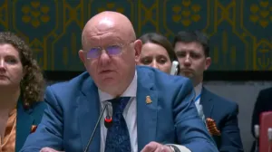Vasily Nebenzya, vijeće sigurnosti, un, izvještaj o bih, rusija, ruski ambasador/Screenshot