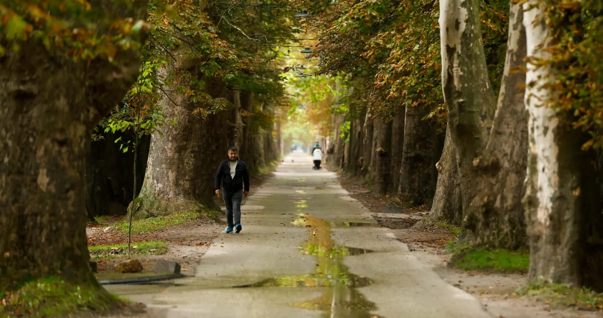 Hladno vrijeme jesen Aleja/Damir Deljo