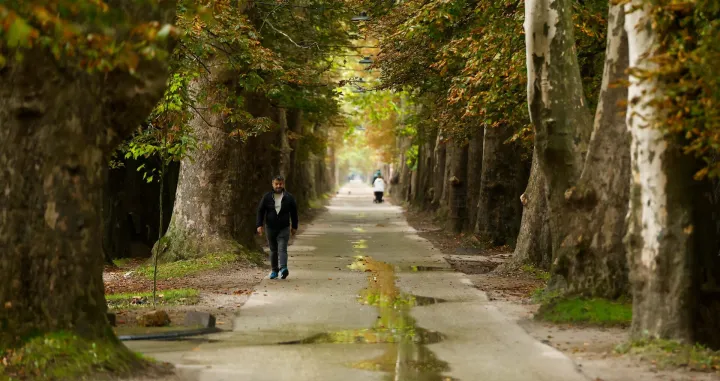 Hladno vrijeme jesen Aleja/Damir Deljo