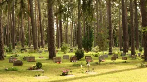 groblje za ljubimce/Unplash