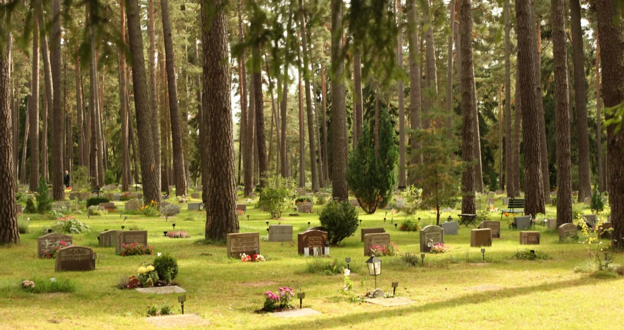 groblje za ljubimce/Unplash