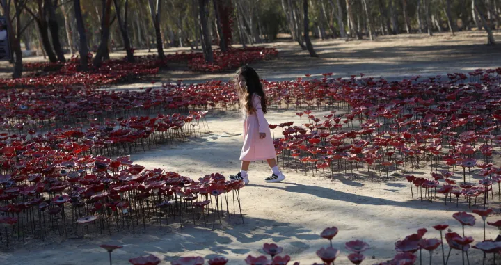 A girl walks through an installation of flowers at the site of the Nova festival where partygoers were killed and kidnapped, on the two-year anniversary of the deadly October 7, 2023 attack on Israel by Hamas from Gaza, in Reim, southern Israel, October 7, 2025. REUTERS/Itay Cohen  TPX IMAGES OF THE DAY/Itay Cohen