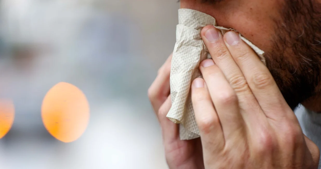 Prehlade ilustracije/Damir Deljo