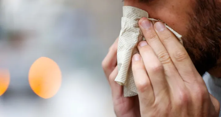 Prehlade ilustracije/Damir Deljo