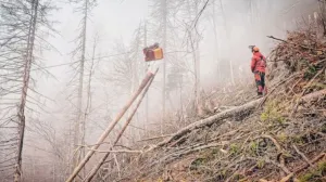 Teška mašina, transport drvne građe, drvo, šuma, radnici/Krone.at
