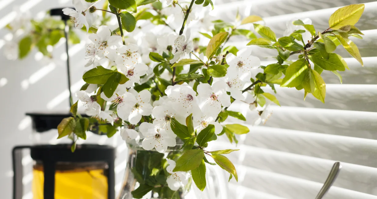 Biljke nisu samo ukras/Free Pik