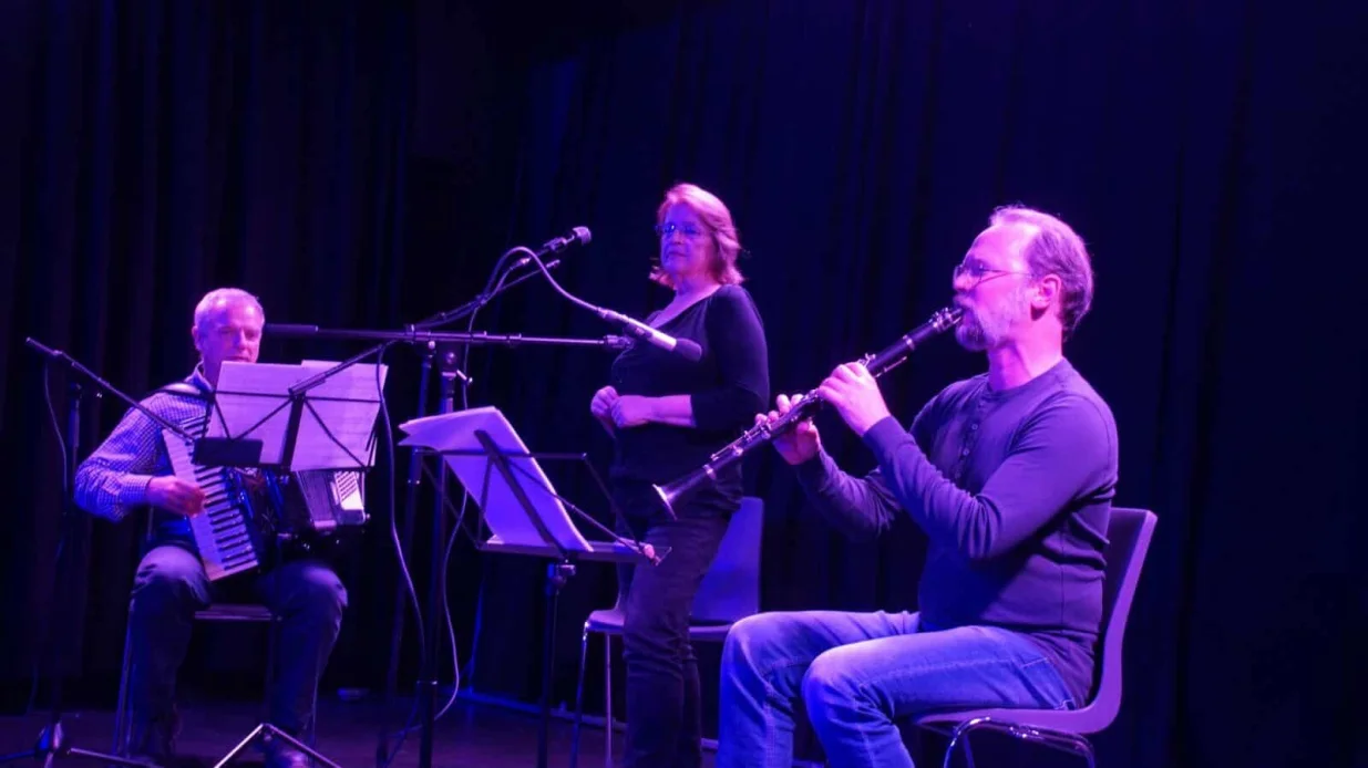 Manifestacija "Dani Bosne u Kopenhagenu 2025"//