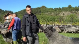 Hasan Mujeketić/Printscreen/You Tube//