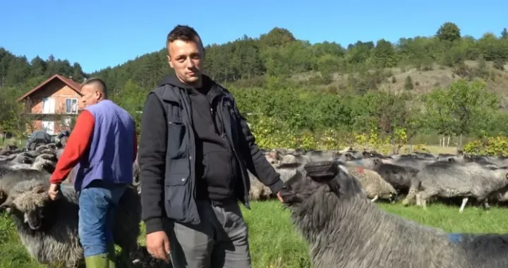 Hasan Mujeketić/Printscreen/You Tube//