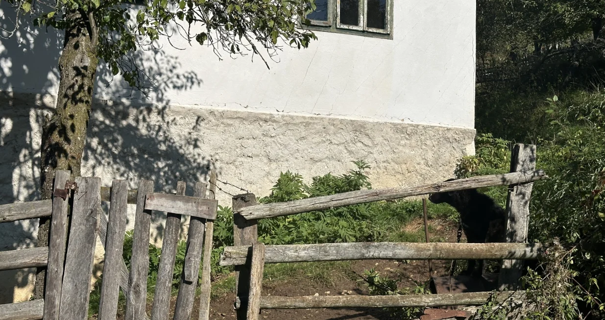 Avlija rodne kuće Halida Bešlića/Amir Papić