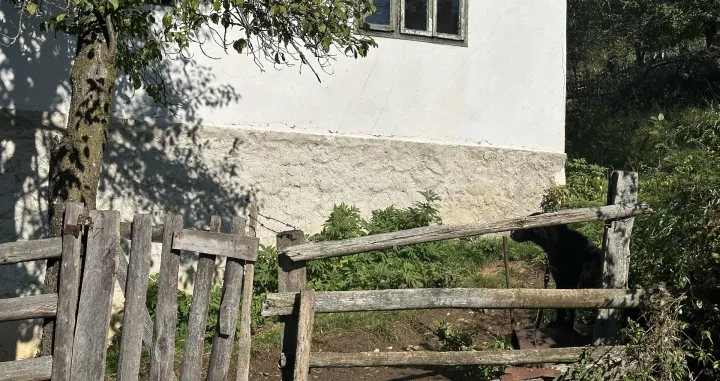 Avlija rodne kuće Halida Bešlića/Amir Papić