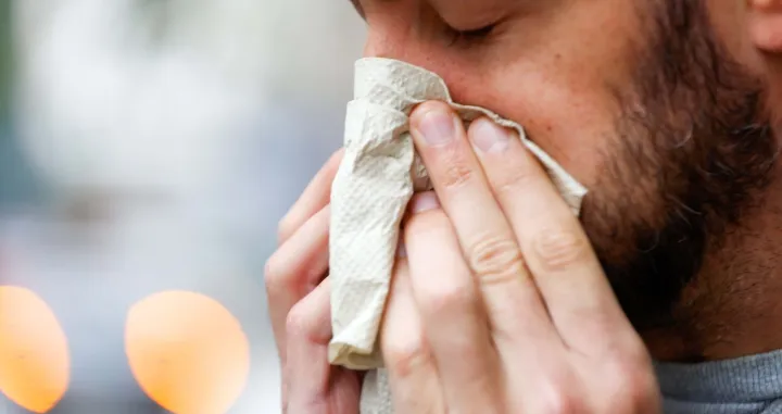 Prehlade ilustracije/Damir Deljo