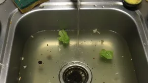 Ne trebate majstora/Ilustracija