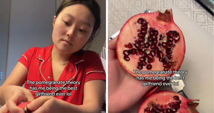 Teorija nara, trend na TikToku/Screenshot