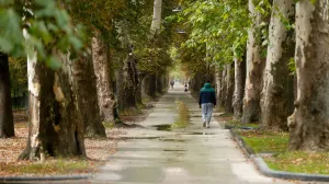 Hladno vrijeme jesen Aleja/Damir Deljo