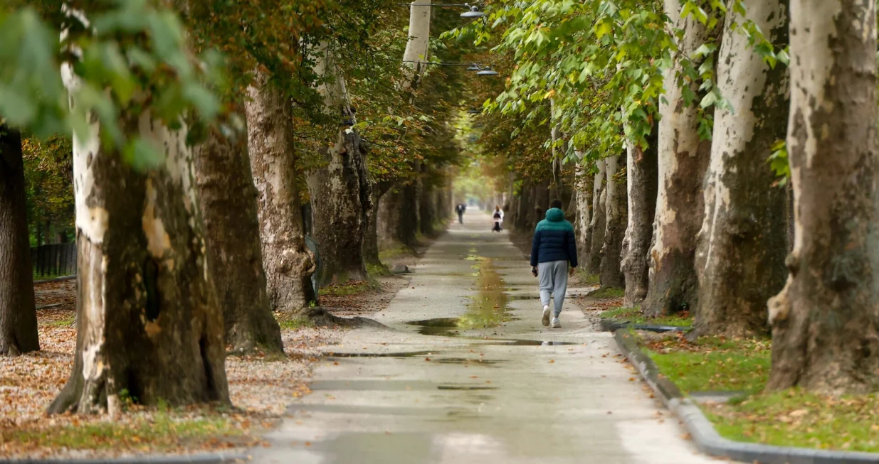 Hladno vrijeme jesen Aleja/Damir Deljo