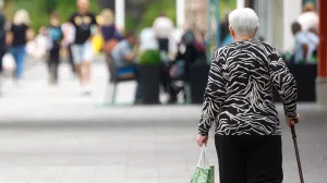 Šetači na Dobrinji/Damir Deljo