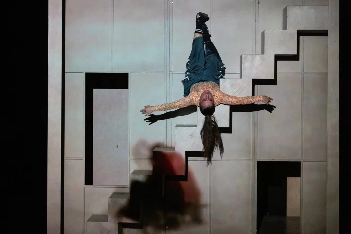 Komad prema romanu Aleksandra Hemona/Nikola Blagojević/