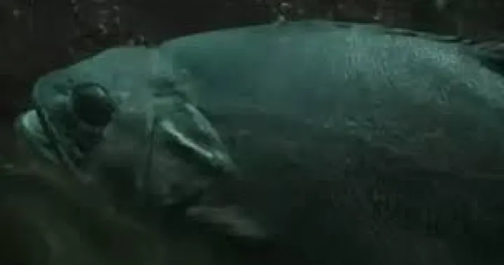 predator ilustracija/