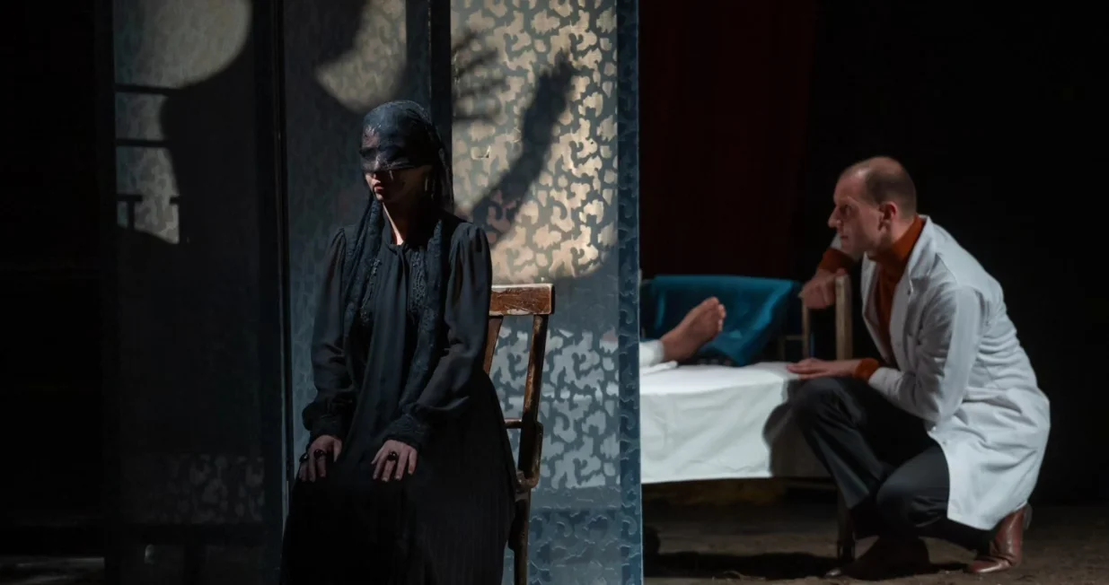 Predstava "Ogledalo"/Velija Hasanbegović/