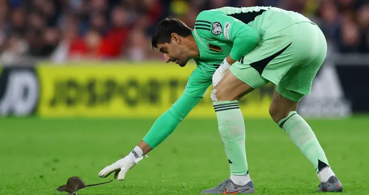 Miš i Courtois/Foto: 