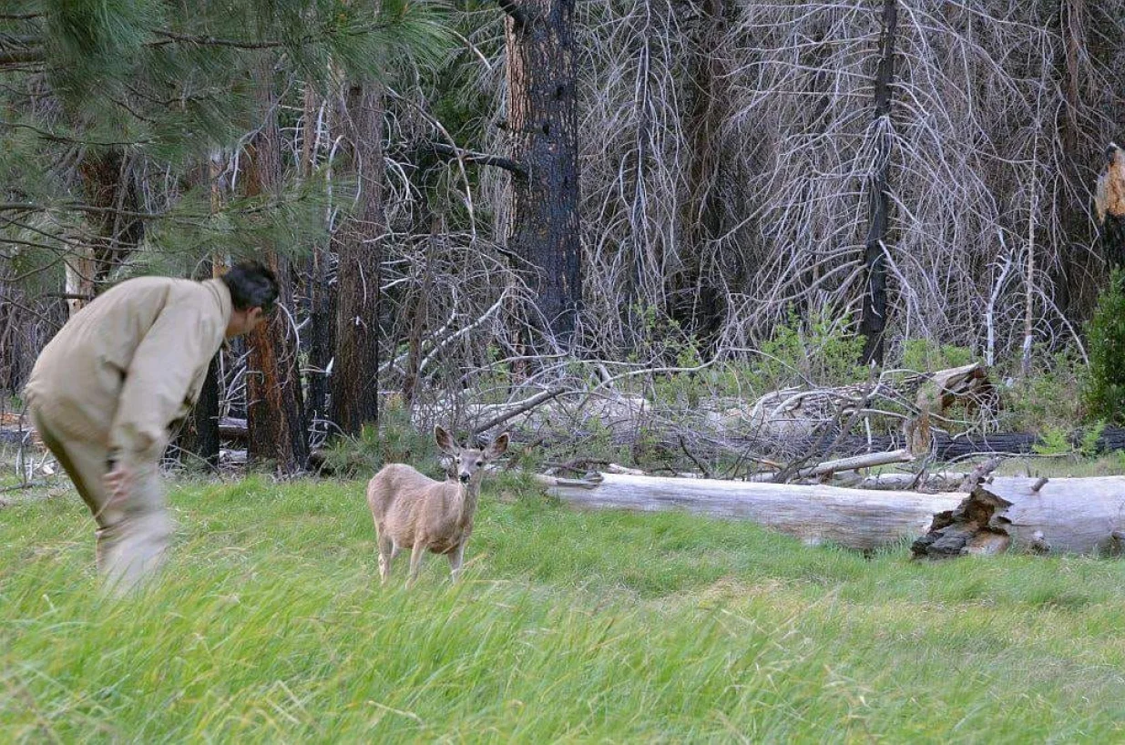 Životinjski svijet NP Una/