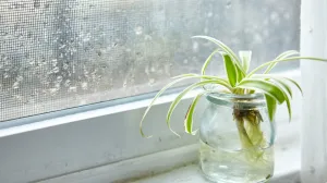 Reagujte na vrijeme/Free Pik