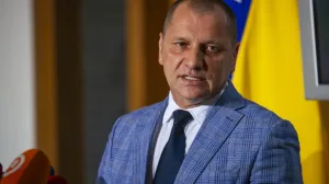 Sala Dom naroda Parlamenta BiH, Zlatko Miletić/Damir Deljo