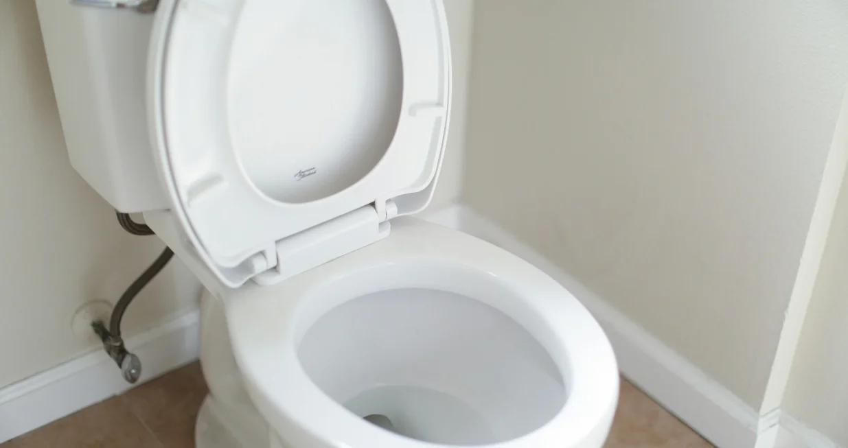 WC šolja nije kanta za smeće/Unsplash