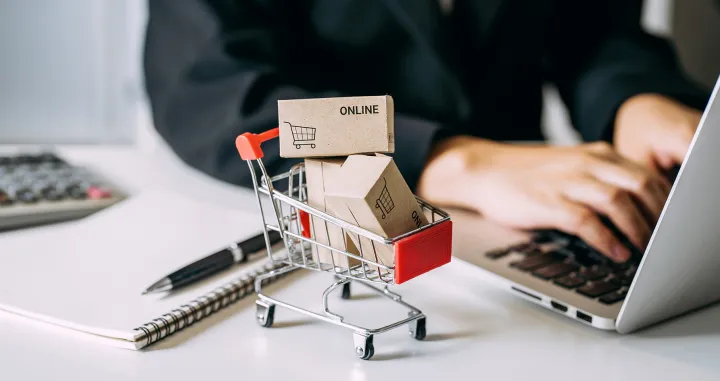 On line šoping, kupovina internet e-commerce/