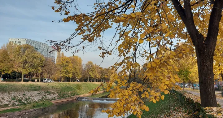 jesen vrijeme sunčano/Lejla Sofradžija/